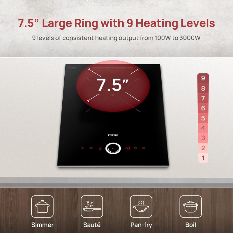 FOTILE Black Induction 1 Burner Cooktop