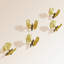 Butterfly Ginkgo 2" Length Knob