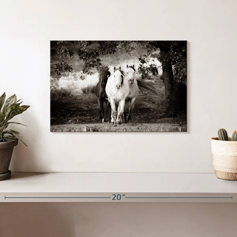Crowle, trois chevaux sauvages sépia, H 8 po x l 12 po