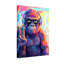 Animaux singe coloré avec casque et lunettes de soleil-891633870