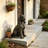 18'' Bronze Finish Cocker Spaniel Dog Statue