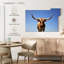Portrait d'un longhorn-107701144