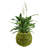 Bumgarner Pot Planter-1262359464-1262359462