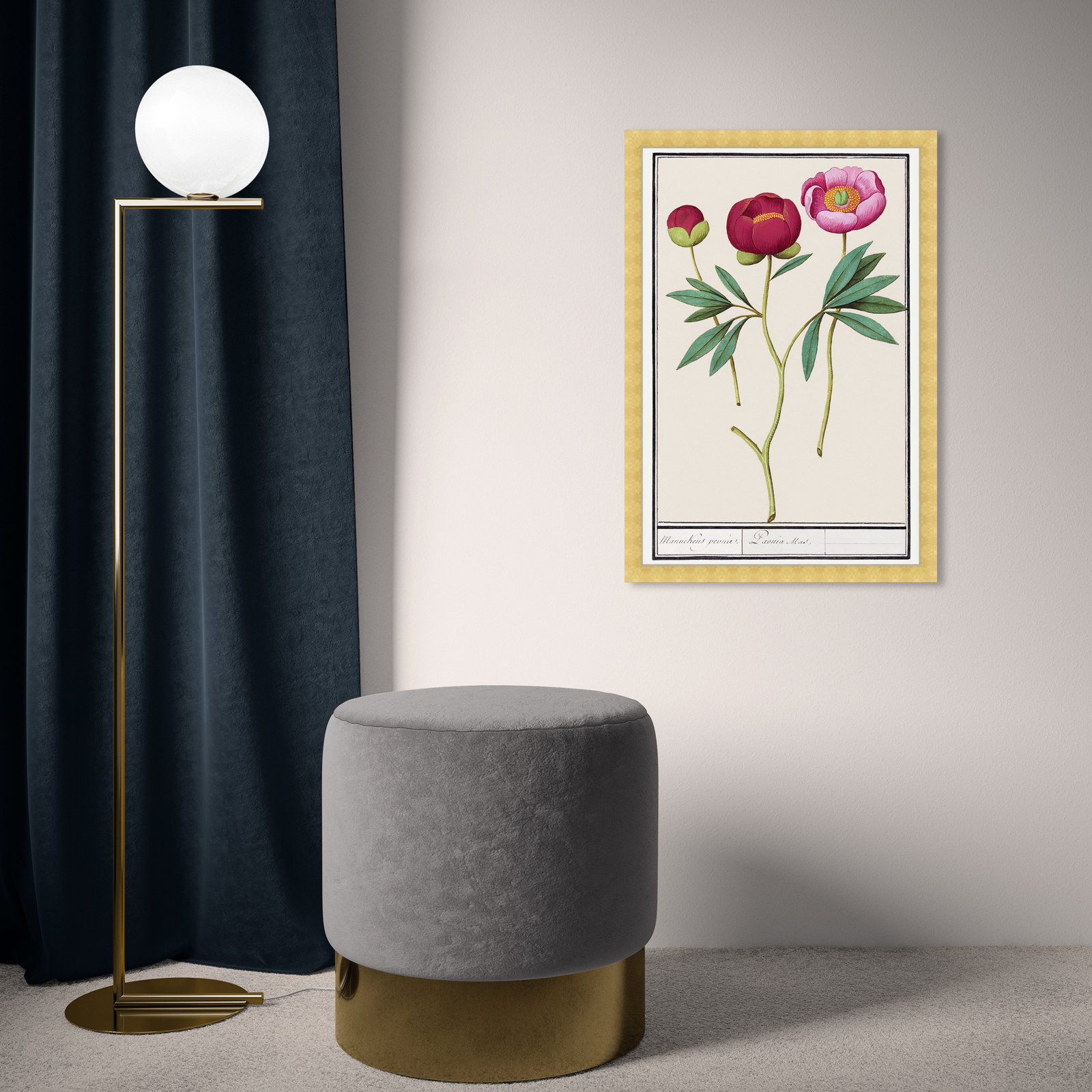 Red and Pink Peony Botanical Study Print, 26" H x 18" W, Gold