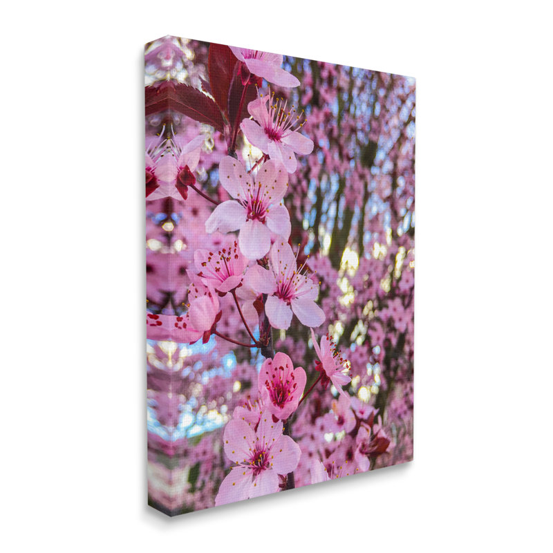 «Spring Cherry Blossom Tree Nature Floater» par Heidi Bannon, H 40 po x l 30 po x P 1,5 po, Toile tendue