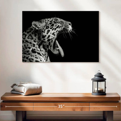 Brampt Jaguar Yawn