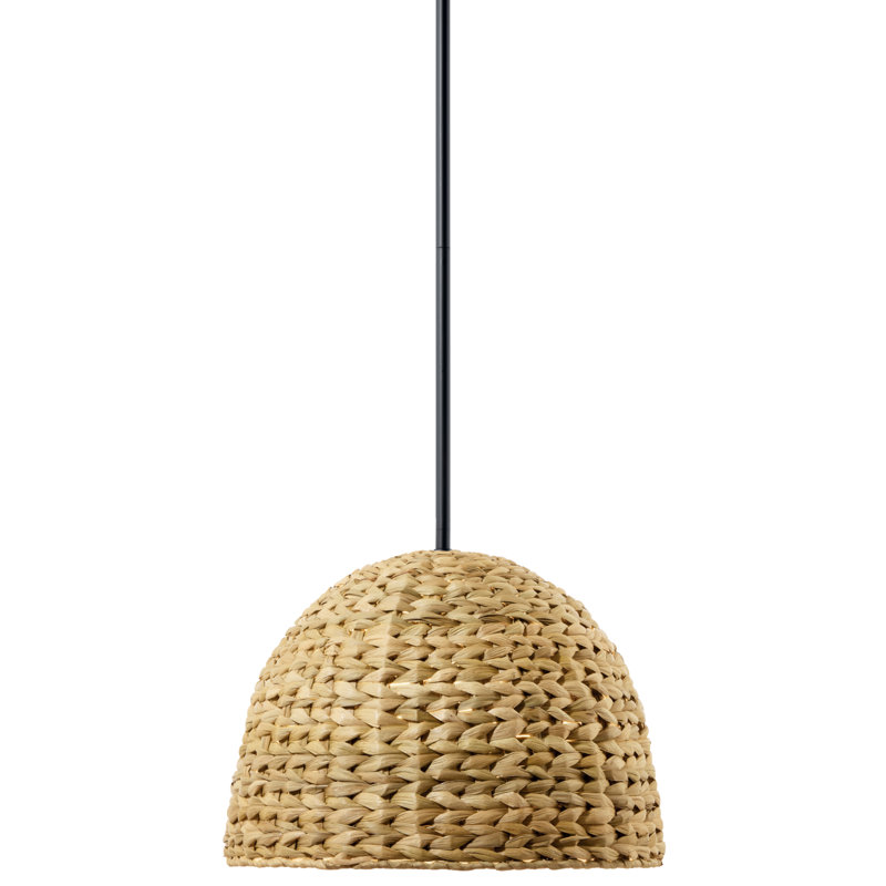 Luminaire suspendu 1 lumière Adlyna