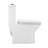 Carre One Piece Square Toilet Dual Flush-99927286