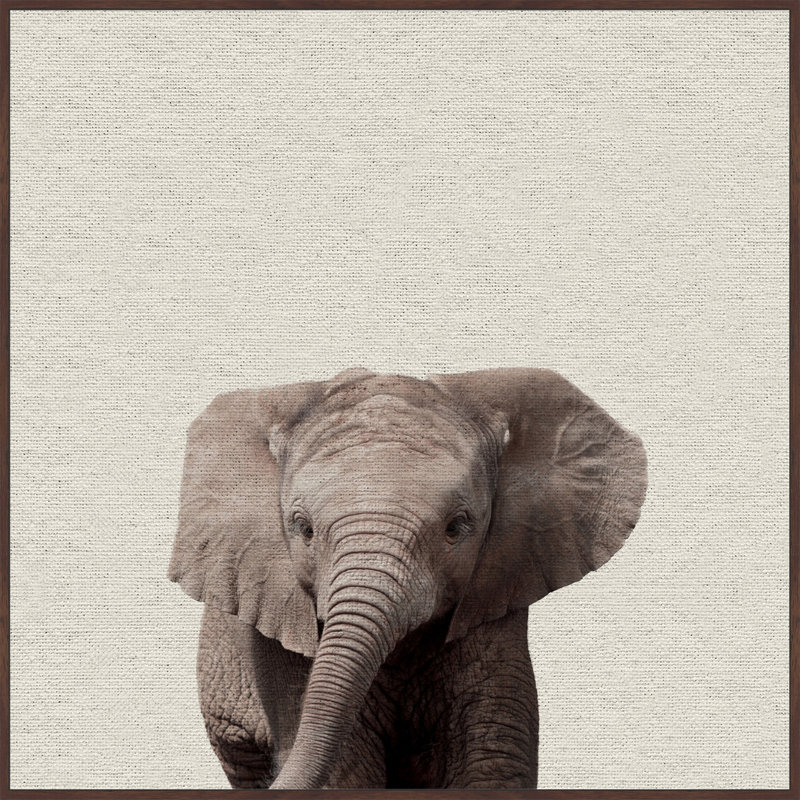 « éléphant surprise », art encadré, H 12 po x l 12 po x P 1,5 po