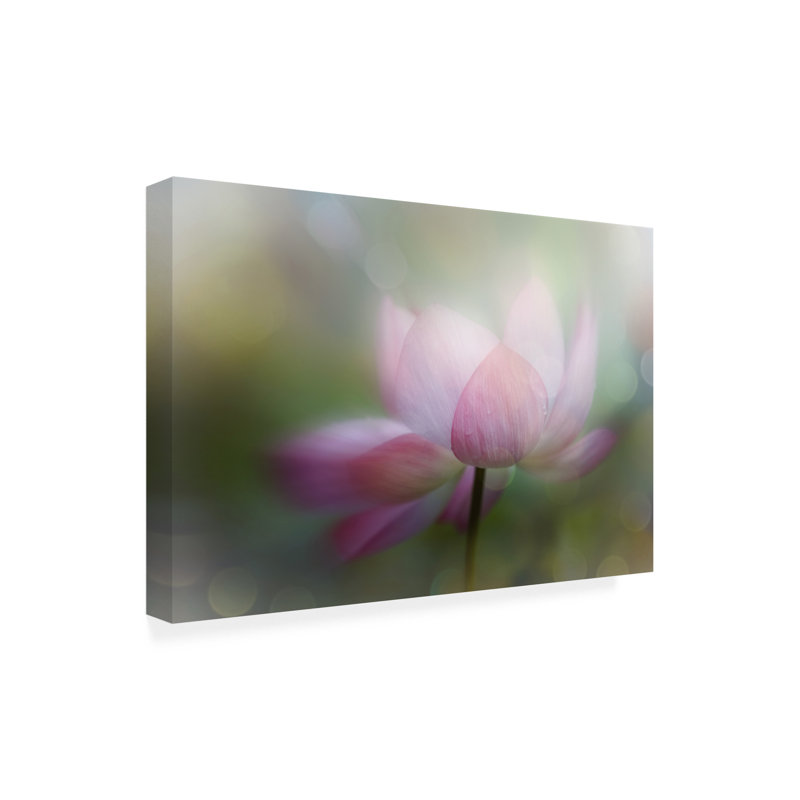 Art sur toile «bolil Youngil Kim Lotus Dreamy», H 12 po x l 19 po