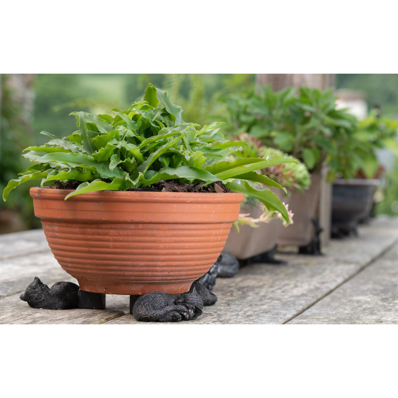 Jovie Weather Resistant Planter Feet