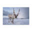 No Frame Print on Canvas-1114821219