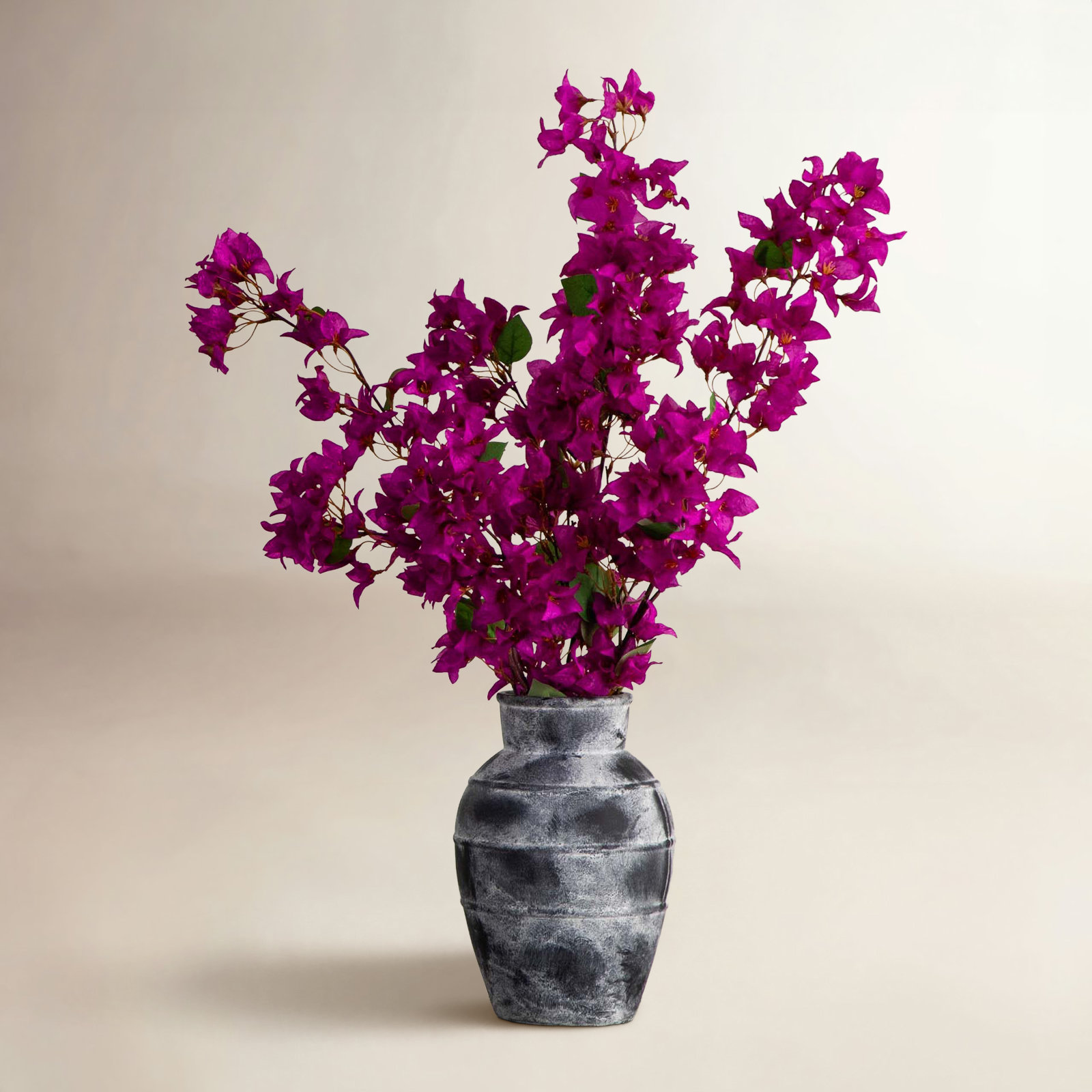 Bougainvillea Floral Stems, Purple
