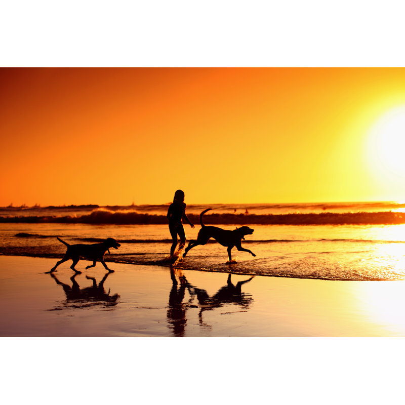 Silhouette Of Young Woman by Bluberries - Wrapped Canvas Print, 81cm H x 122cm W x 3.8cm D