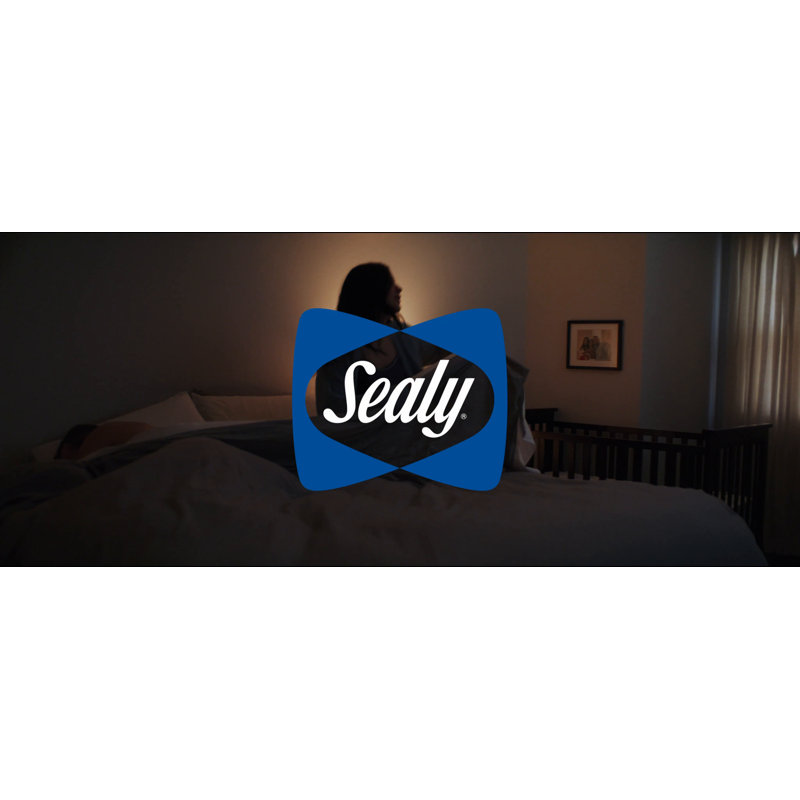 Sealy Black Adjustable Queen Base with Wireless Remote