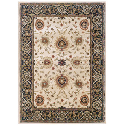 Oriental Indoor Rug