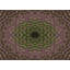 Tapis 100% motif lavable à la machine 2989 18 BRN-67917035