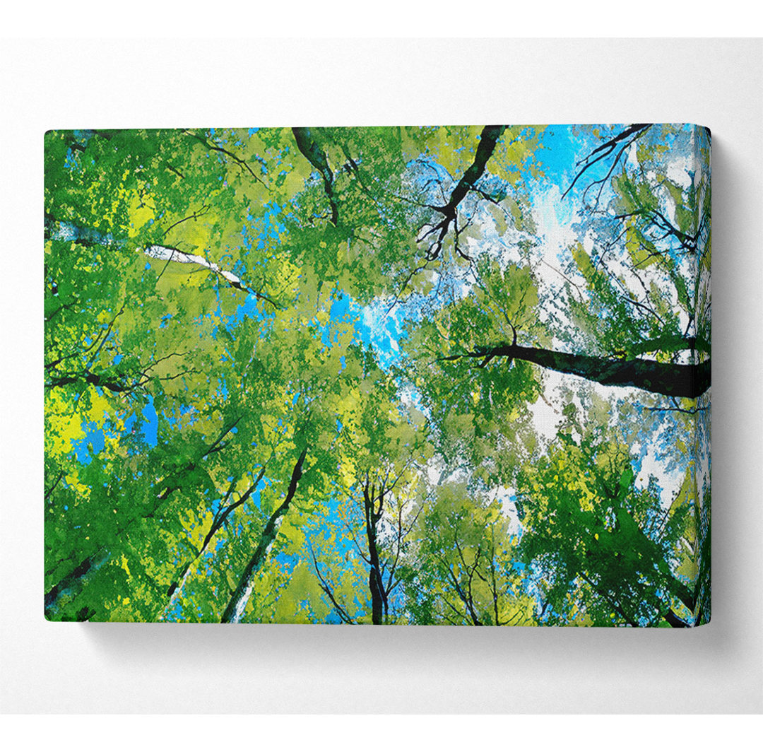 Forest Sky View - Kunstdrucke auf Leinwand