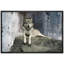 Animaux, loup couché sur un rocher sur toile-99543016-99543017