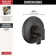 Tetra 17 Series Dual-Function Shower Trim Kit, Valve Trim Kit, Shower Trim