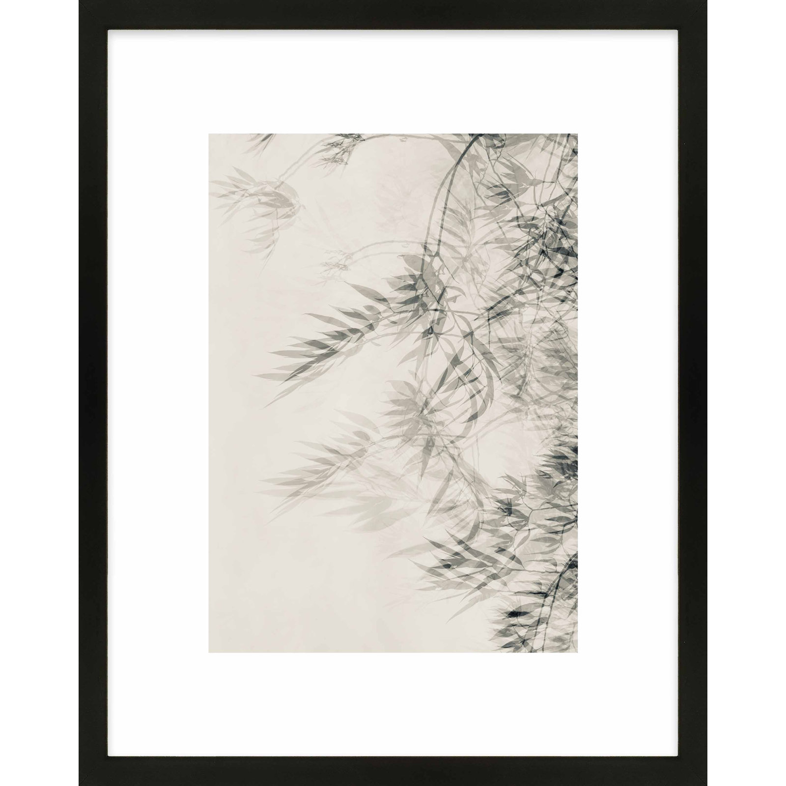 Suspended Motion Print by Laura Zimmerman, 38" H x 30" W, Black