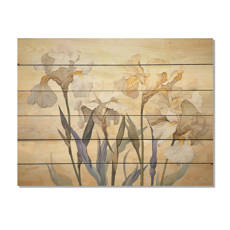 Beige Minimalism Irises Radiant Petals I - Irises Wood Wall Art On Natural Pine Wood, 24" H x 32" W