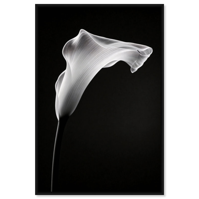 Calla Lily II by Oliver Gal, 31" H x 21" W, Black Floater Frame