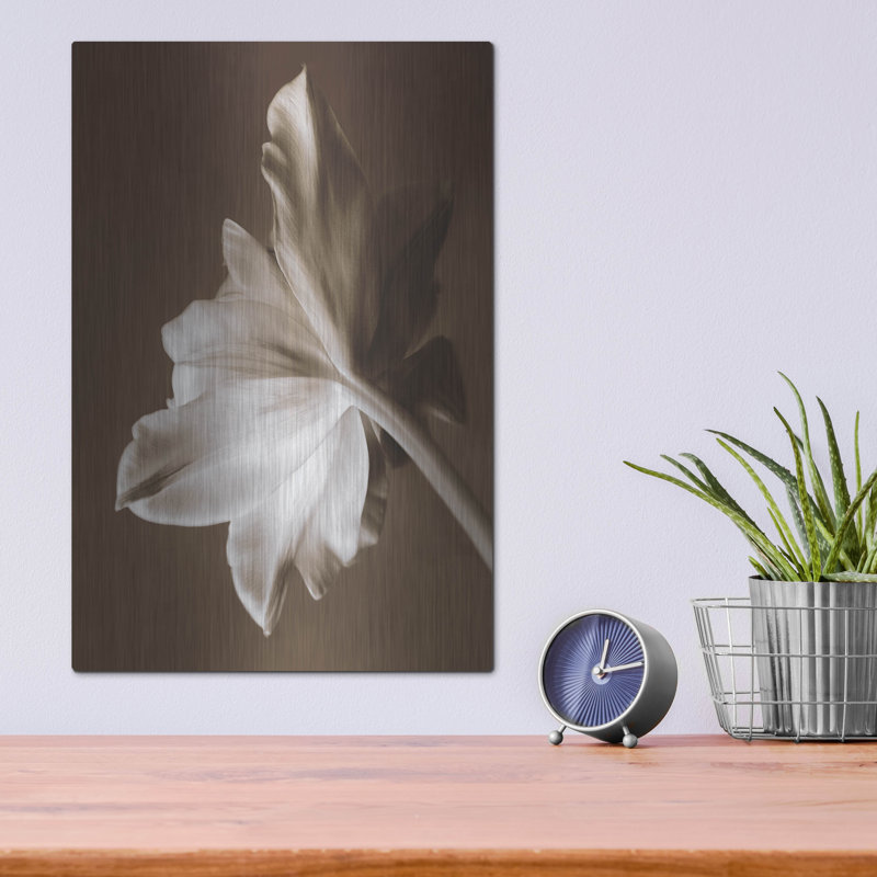 «Moonglow Tulip» par Rebecca Swanson, H 16 po x l 12 po