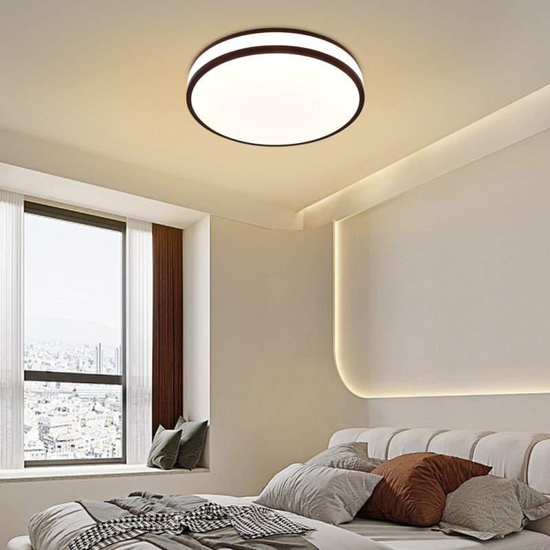 3.5x15" Acrylic LED Ceiling Lamp 
