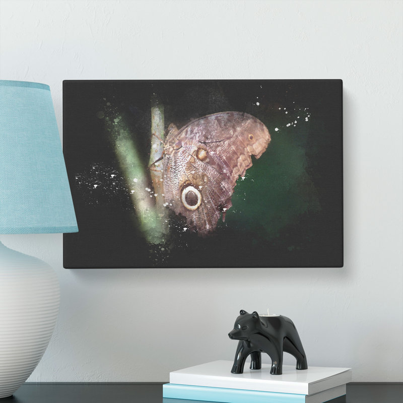 Beauty of a Butterfly - Wrapped Canvas, 35cm H x 50cm W x 3cm D