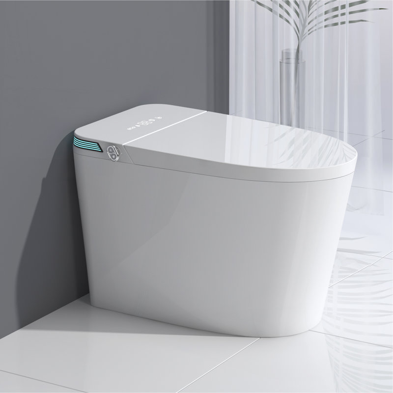 Luxury Intelligent Smart Toilet With Instant Warm Water Sprayer And Dryer