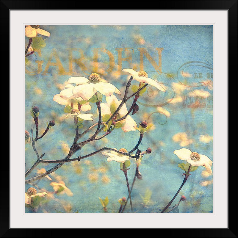 « dogwood ii » par amy melious, reproduction de photo, H 35 po x l 35 po x P 1,5 po, Toile