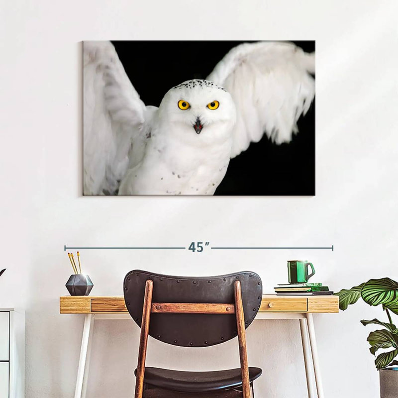 Brampt White Owl, 26" H x 39" W
