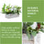 Artificial Plant