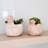 Alora Handmade Pot Planter