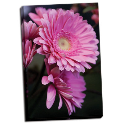 " Pink Gerbera Daisies 4 " by Erin Berzel
