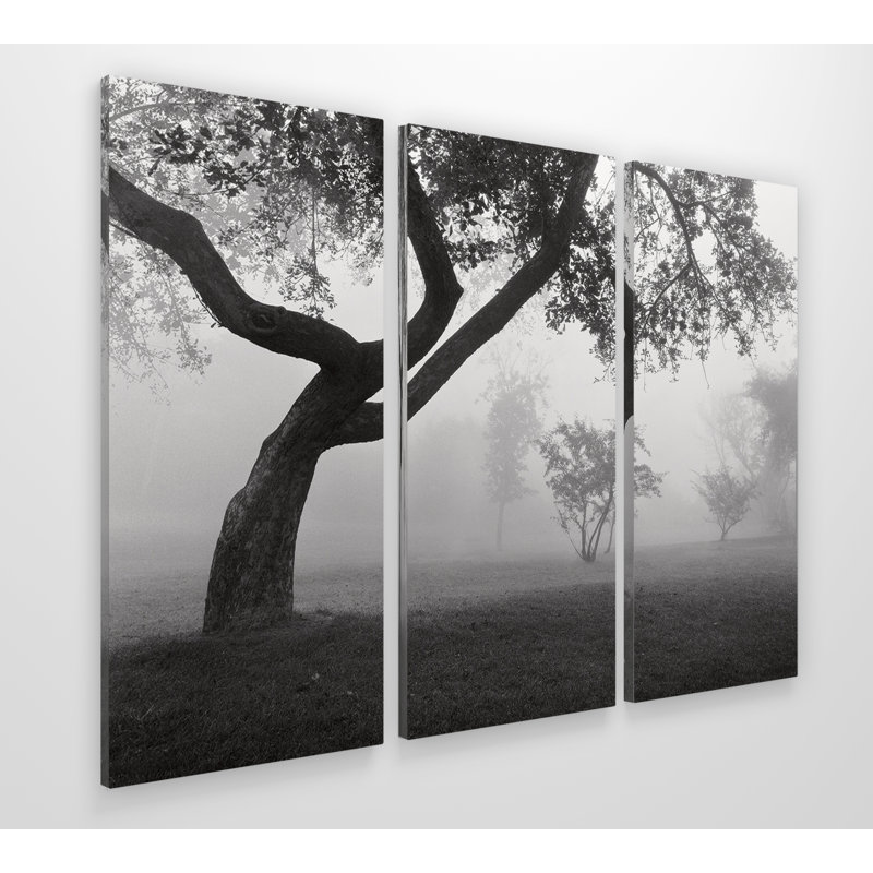 Into the Mist-multi-pièces sur toile tendue, H 24 po x l 36 po x P 1,5 po