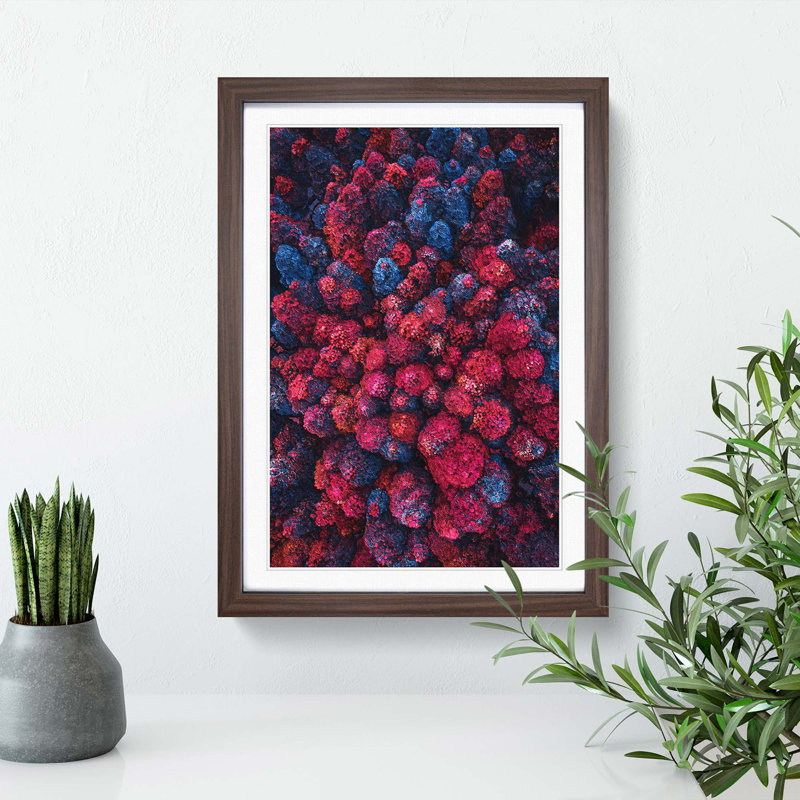 Imaginary Forest - Framed Print, 48cm H x 36cm W x 2cm D, Walnut Framed