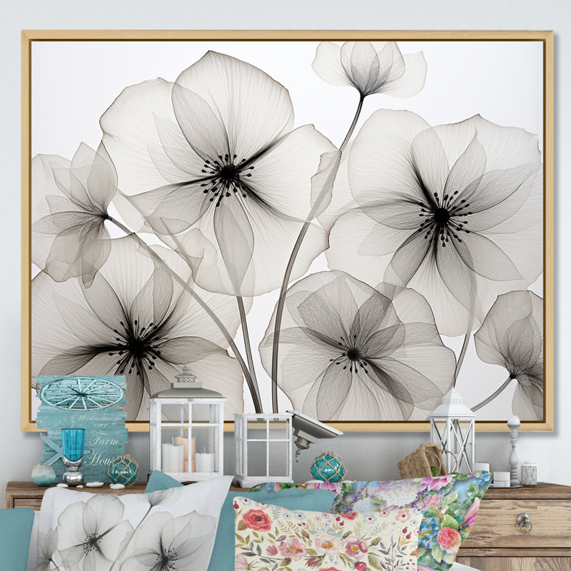 «Black and White Morning Glory Speed - Morning Glory», reproduction d'art sur toile, Cadre naturel flottant