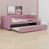 Rose est en rupture de stock