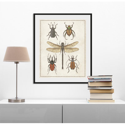 Kã¤fer - Single Picture Frame Print