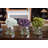 Hydrangea Arrangement in Vase