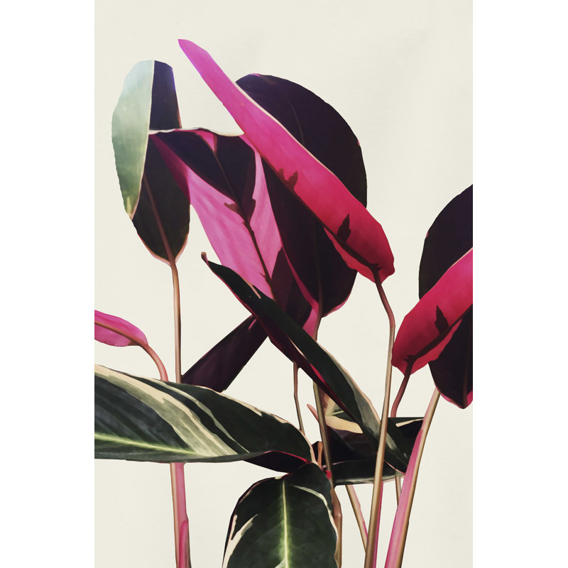 Seda Ficus Bourgogne I par - impression sur toile tendue, H 18 po x l 12 po
