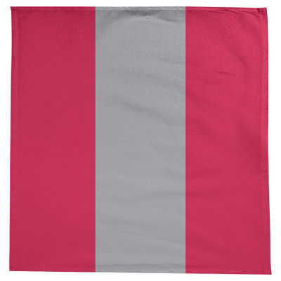 Toronto Basketball Tablecloth