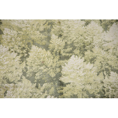 Modern Indian Abstract Rug 5x7