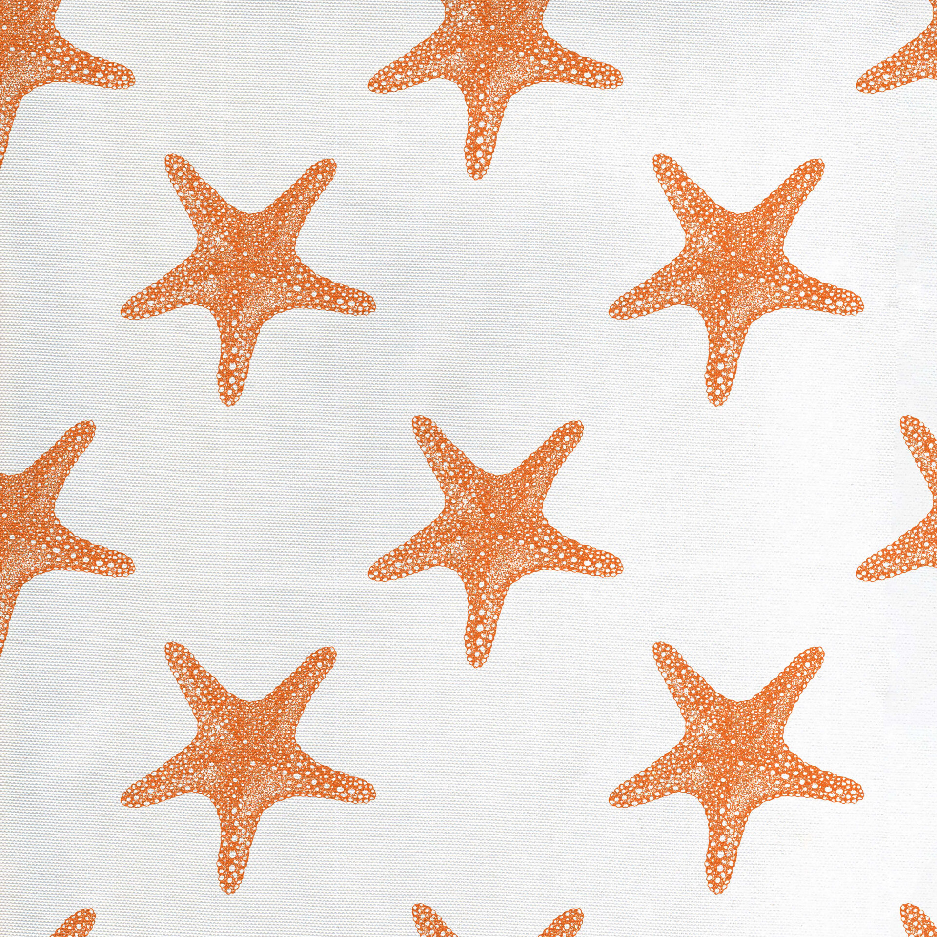 Bless international Starfish Fabric | Wayfair