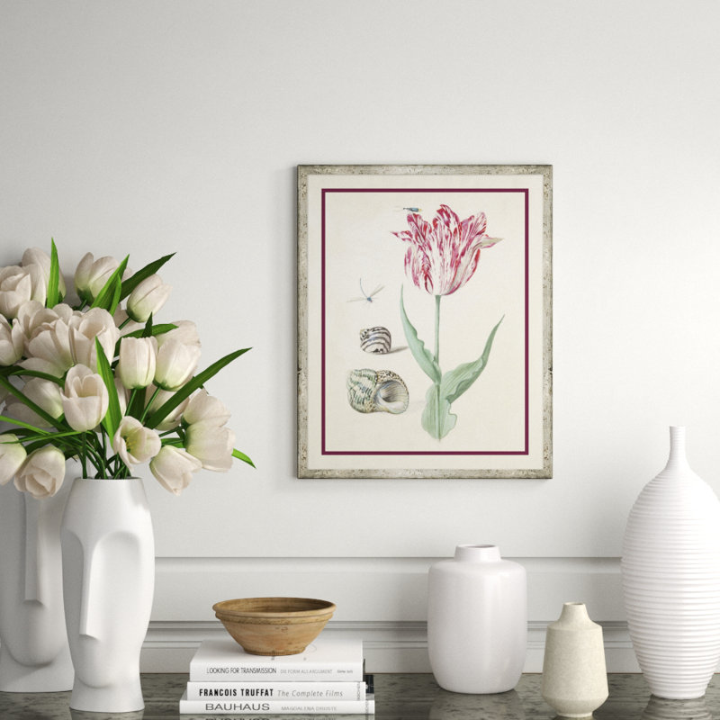 Flower, Seashell And Insect I Giclee Print