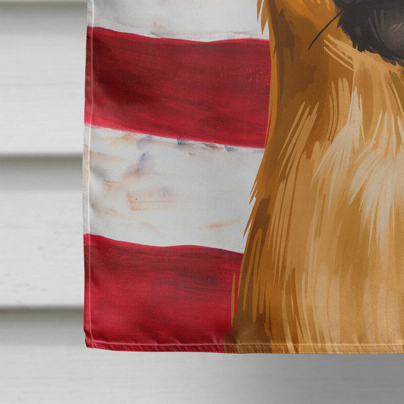Polyester à 2 côtés 28 x 40 po drapeau maison, Impérial chinois