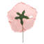 Grande tige rose en mousse-132110116-132110124