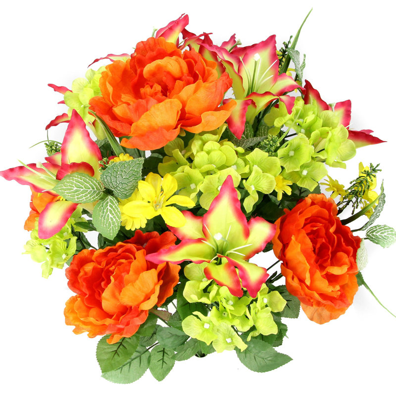 24 arbustes mixtes, Jaune / orange / velours / kiwi